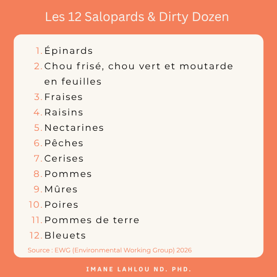 Les 12 Salopards & Dirty Dozen 2026